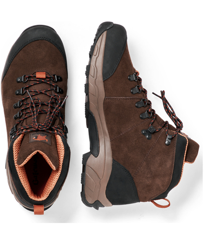 Gateway1 Daywalker 6" boots, Dark brown, large image number 3