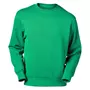 Mascot Crossover Carvin sweatshirt, Gressgrønn