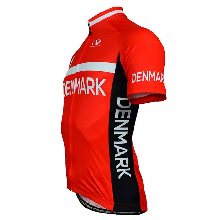 Vangàrd Denmark short-sleeved junior jersey, Red, large image number 2