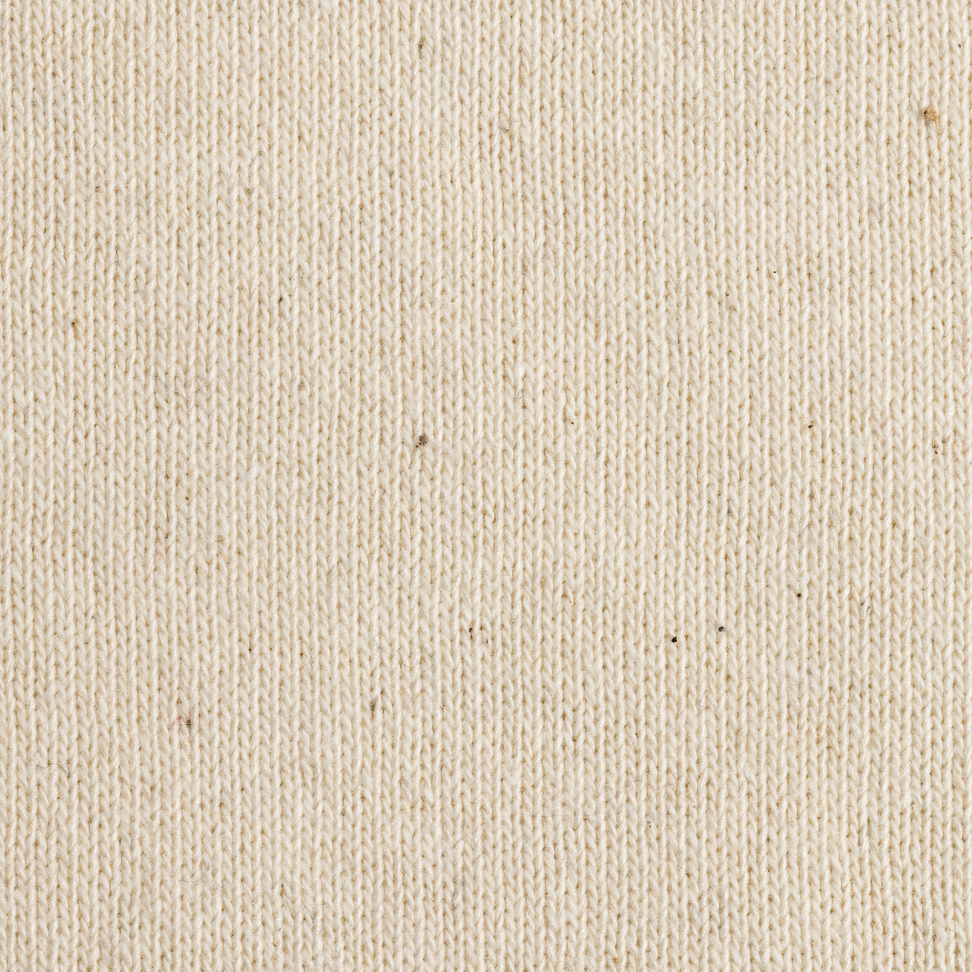 Iqoniq Manuel T-shirt, Natural Raw, large image number 2