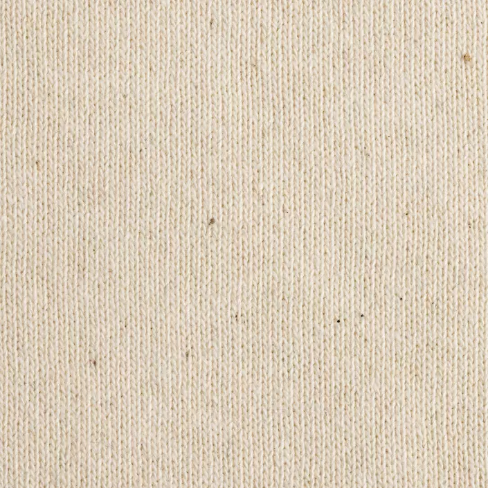 Iqoniq Manuel T-shirt, Natural Raw, large image number 2