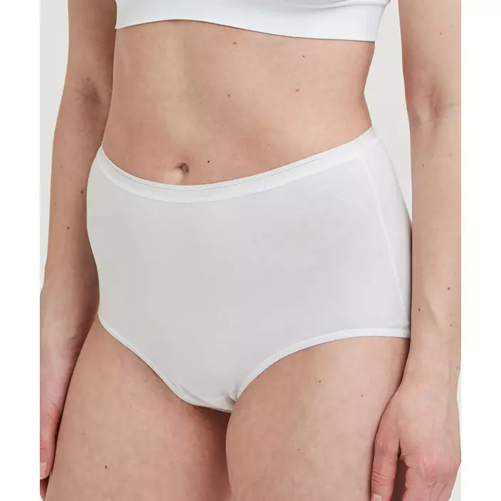 Decoy 5-pack women's maxi briefs, White, large image number 3
