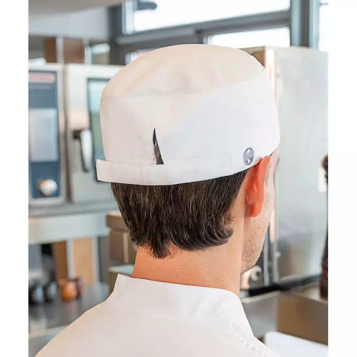 Karlowsky kokkehue, White , White , large image number 4