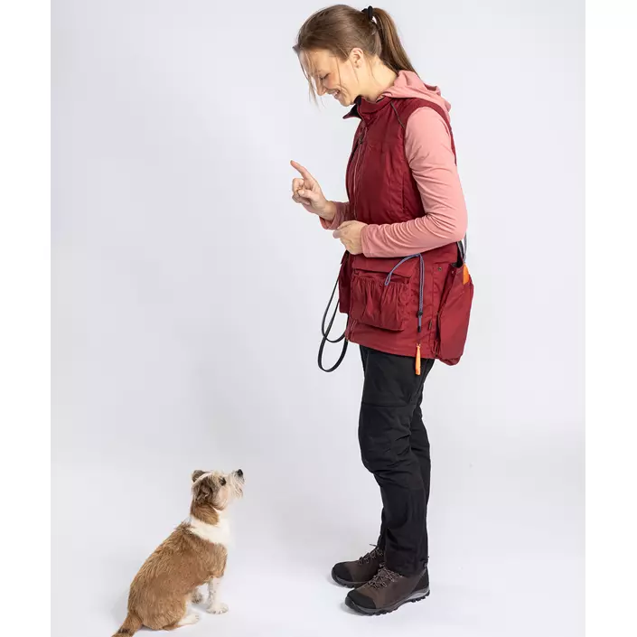 Pinewood Dog Sports Trainer damevest, Dark Tomato/Dark Red, large image number 14