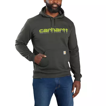 Carhartt Rain Defender Graphic hoodie, Peat
