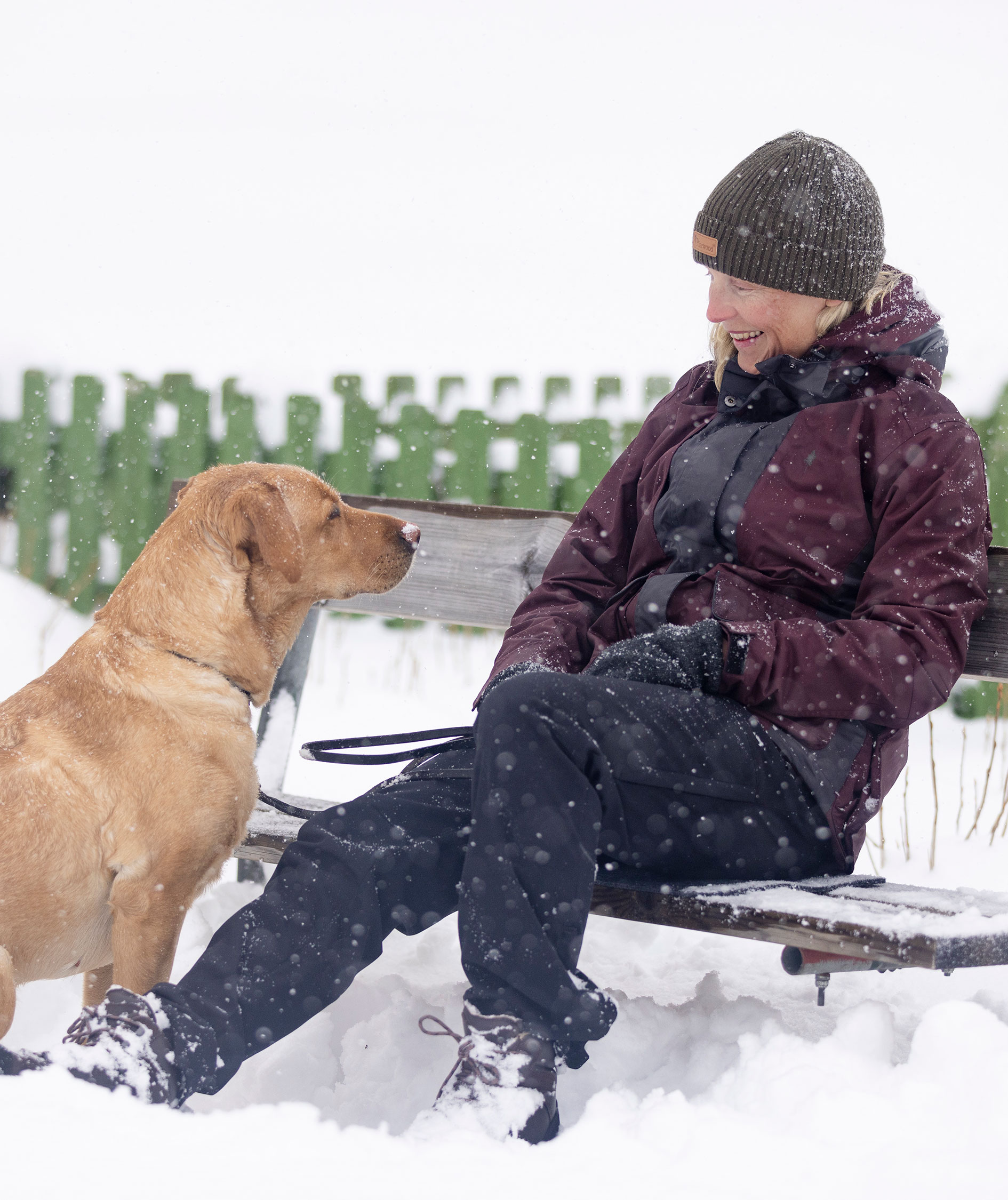 Pinewood Wilda Stretch dame skalbukser, Sort, large image number 8