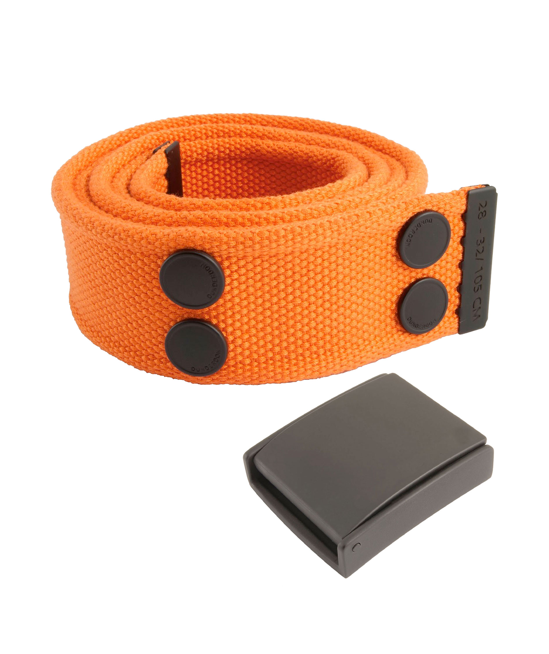 Belt and buckle, , large image number 0