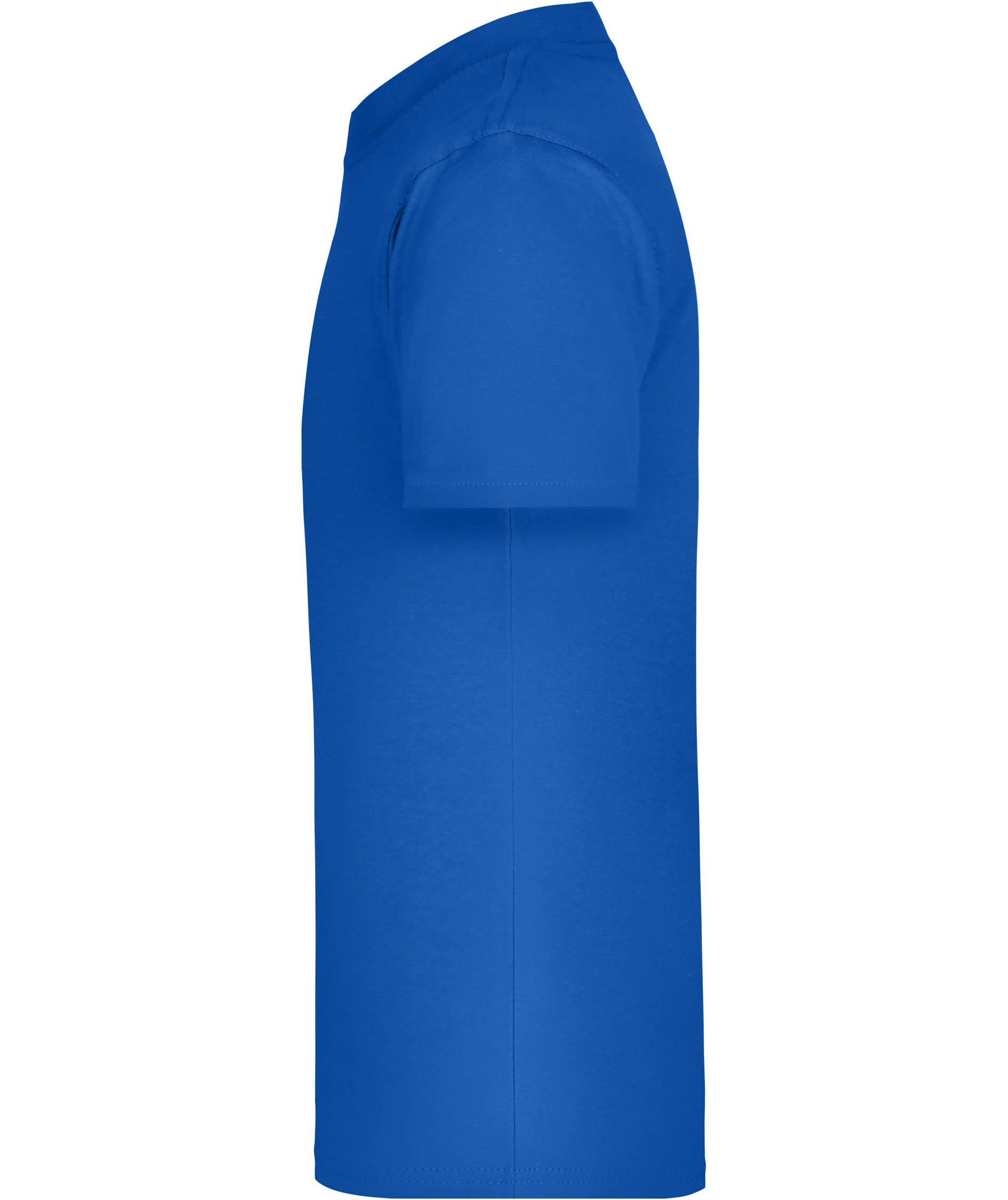 James & Nicholson Junior Basic-T T-shirt till barn, Royal, large image number 3