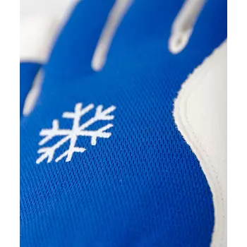 Tegera 217 winter gloves, White/Blue