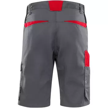 Fristads Green shorts 2932 GWM