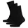 Westborn Basic 3-pack strumpor med ull, Black, Black, swatch