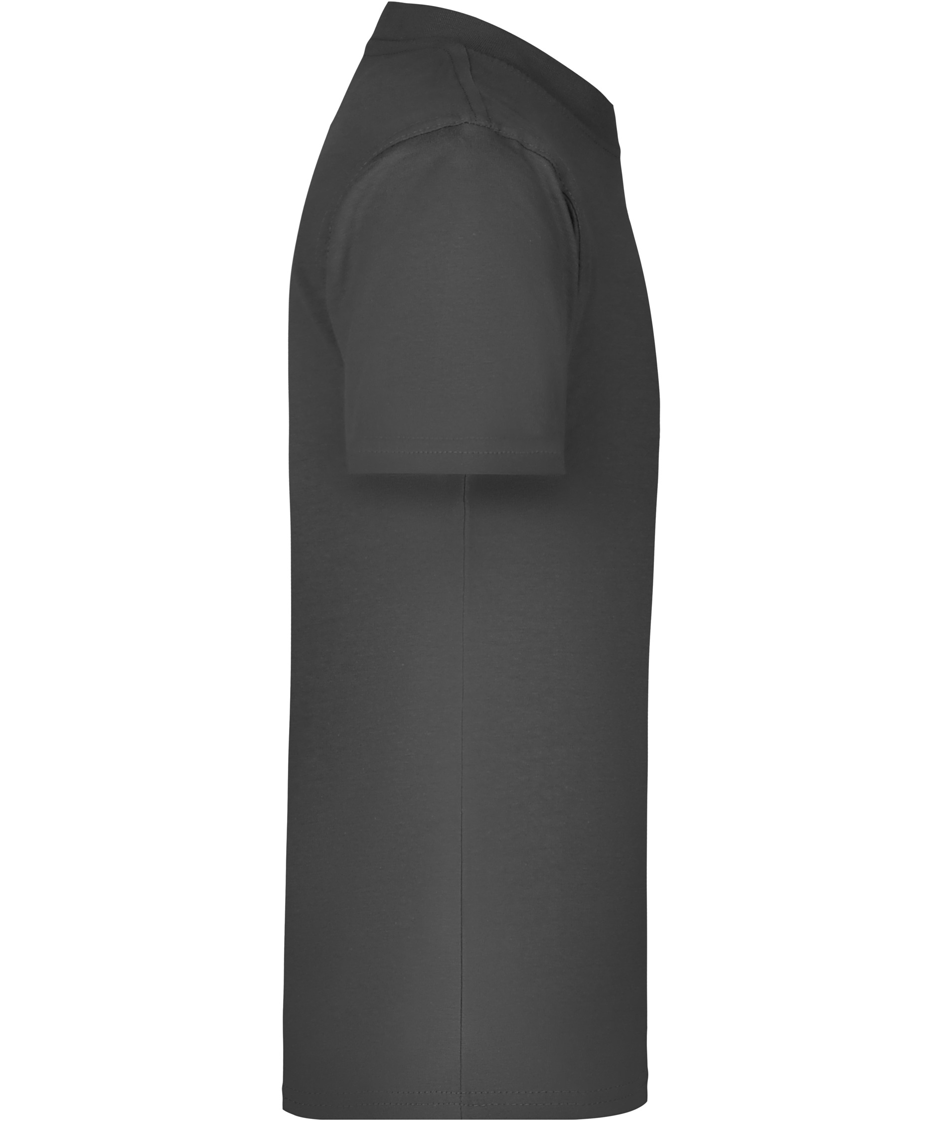 James & Nicholson Junior Basic-T T-shirt til b&oslash;rn, Graphite, large image number 2