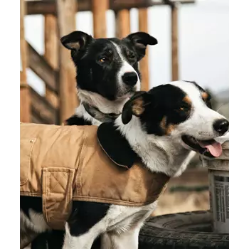 Carhartt Chore Coat hundefrakke, Carhartt Brown