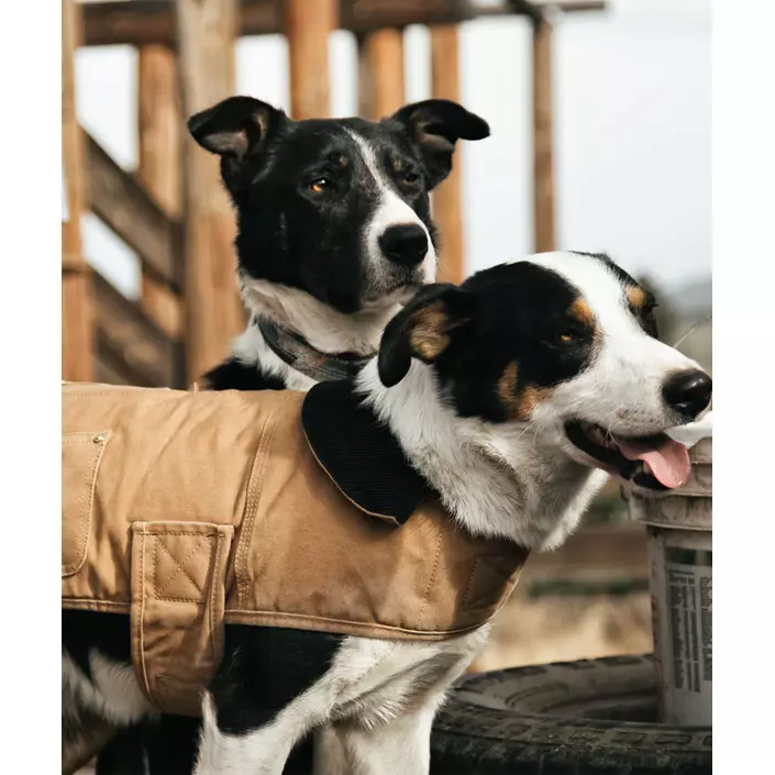 Carhartt Chore Coat hundefrakke, Carhartt Brown, large image number 1