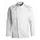 Kentaur chefs jacket, White/Light Grey, White/Light Grey, swatch