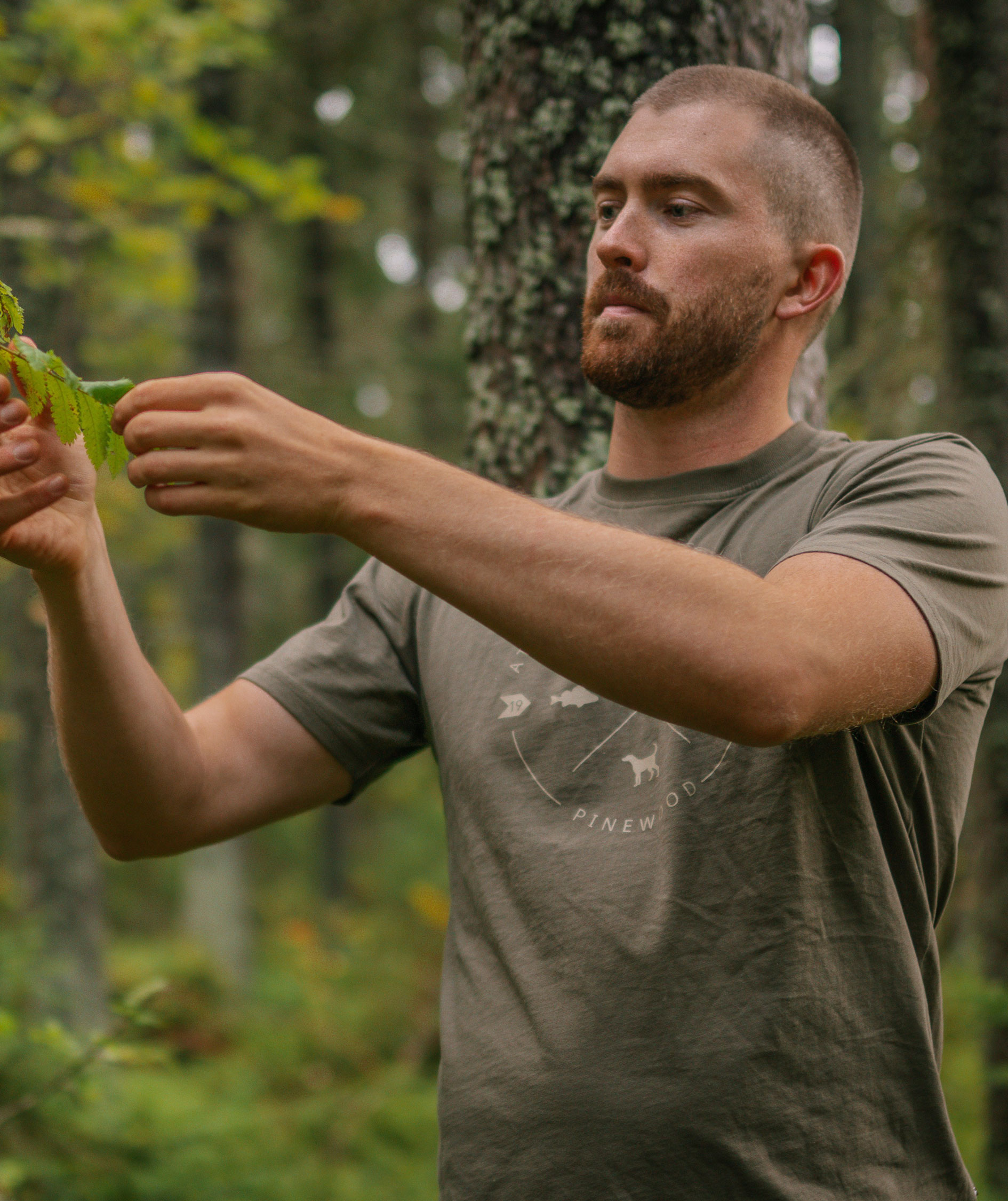 Pinewood Finnveden Trail T-shirt, Olivengr&oslash;n, large image number 6