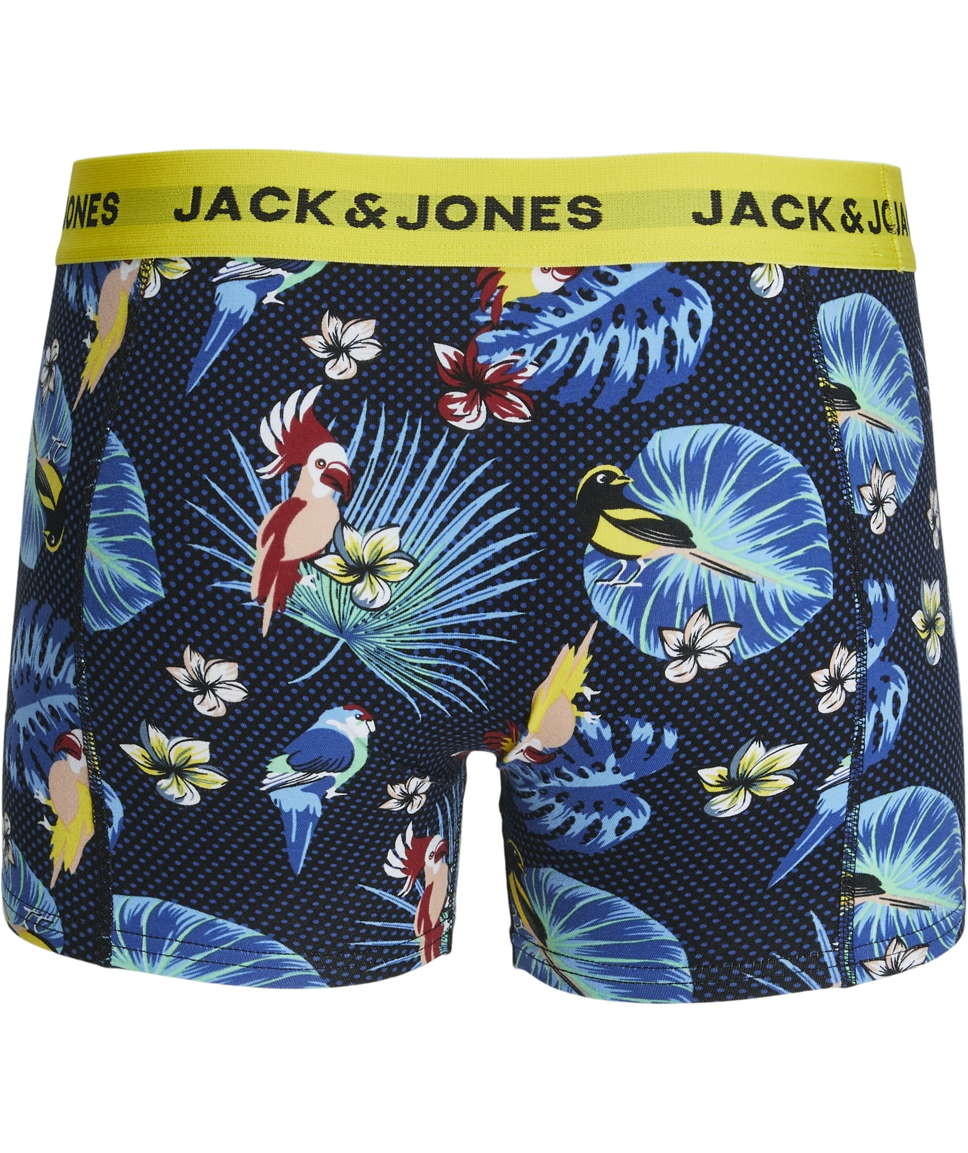 Jack & Jones JACLFLOWER BIRD 3-pack kalsonger, Surf The Web