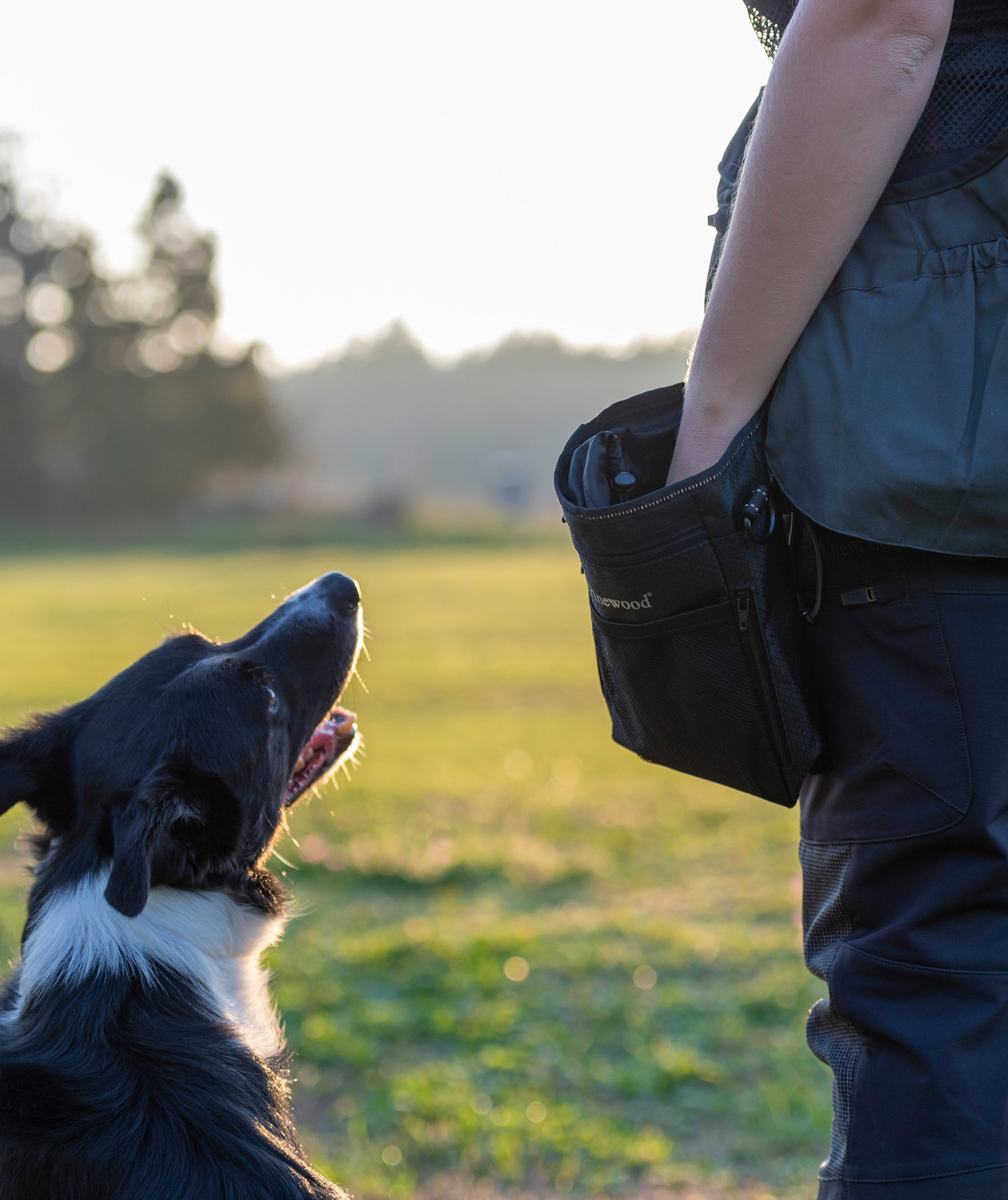 Pinewood Dog Sports taske, Sort, Sort, large image number 2