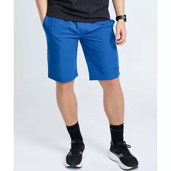 Pinewood Finnveden Sports Light shorts