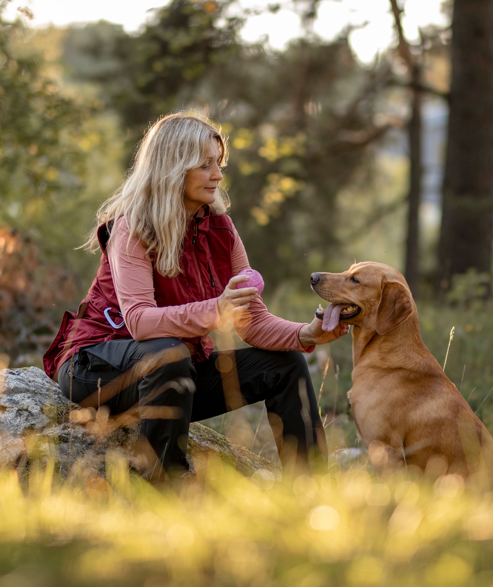 Pinewood Dog Sports Trainer damevest, Dark Tomato/Dark Red, large image number 12