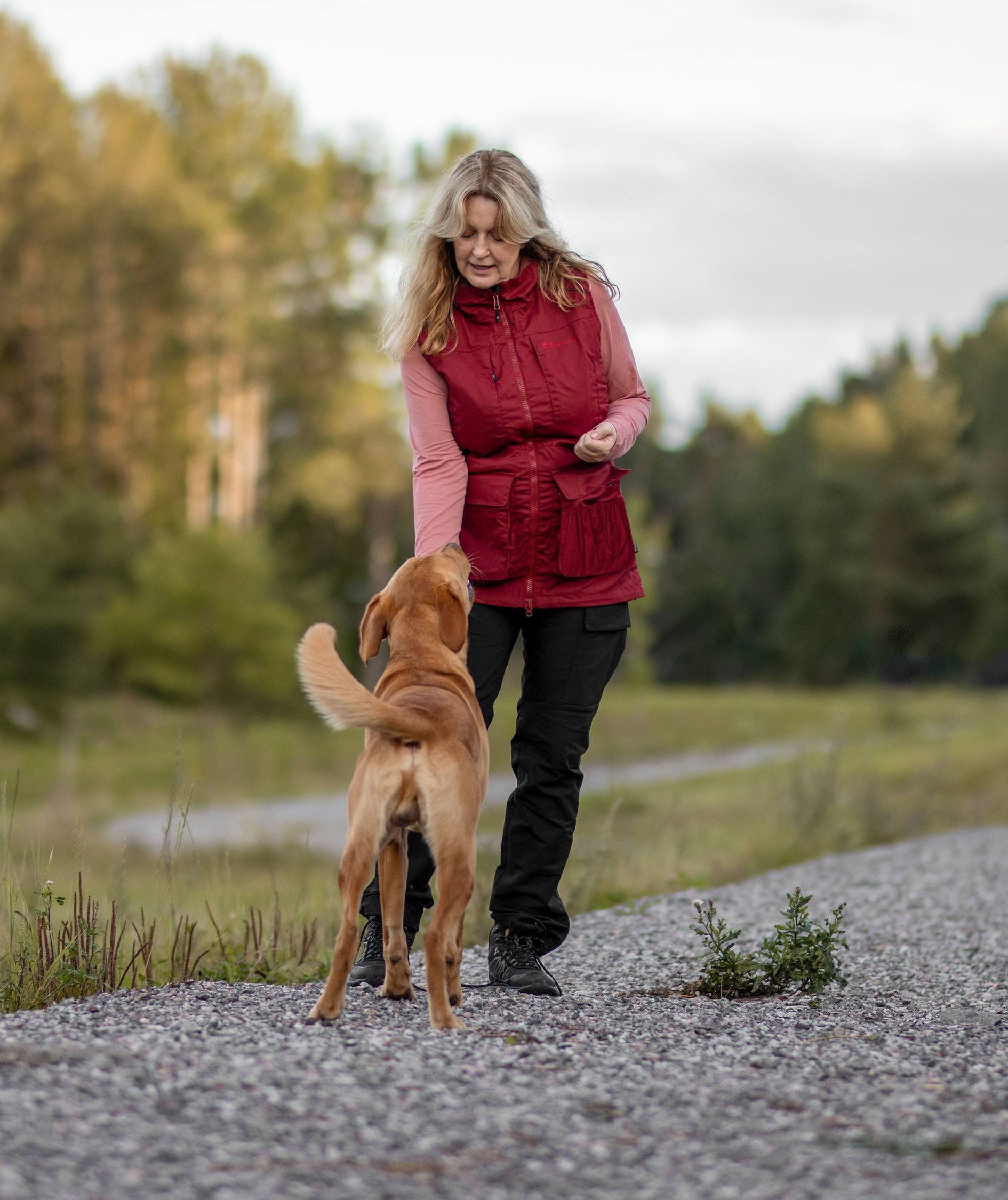 Pinewood Dog Sports Trainer damebuks