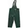 Ocean Offshore Pro FR rain bib and brace trousers, Olive Green, Olive Green, swatch
