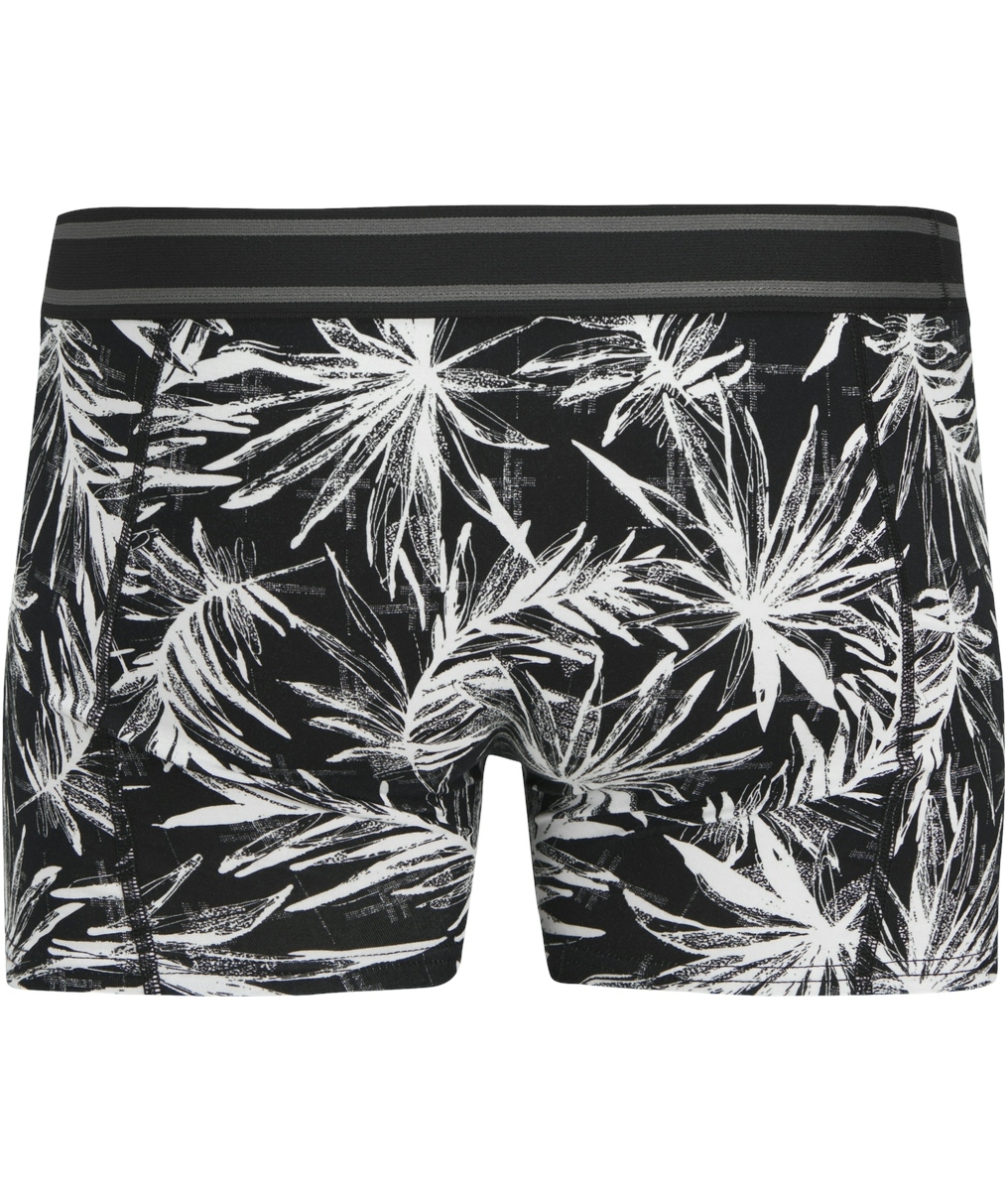 Jack & Jones JACRICHARD 3-pack kalsonger, Black, large image number 2