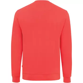 Iqoniq Zion sweatshirt