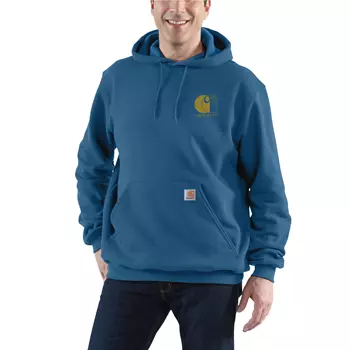Carhartt Signature logo hettegenser