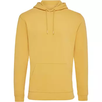 Iqoniq Jasper hoodie