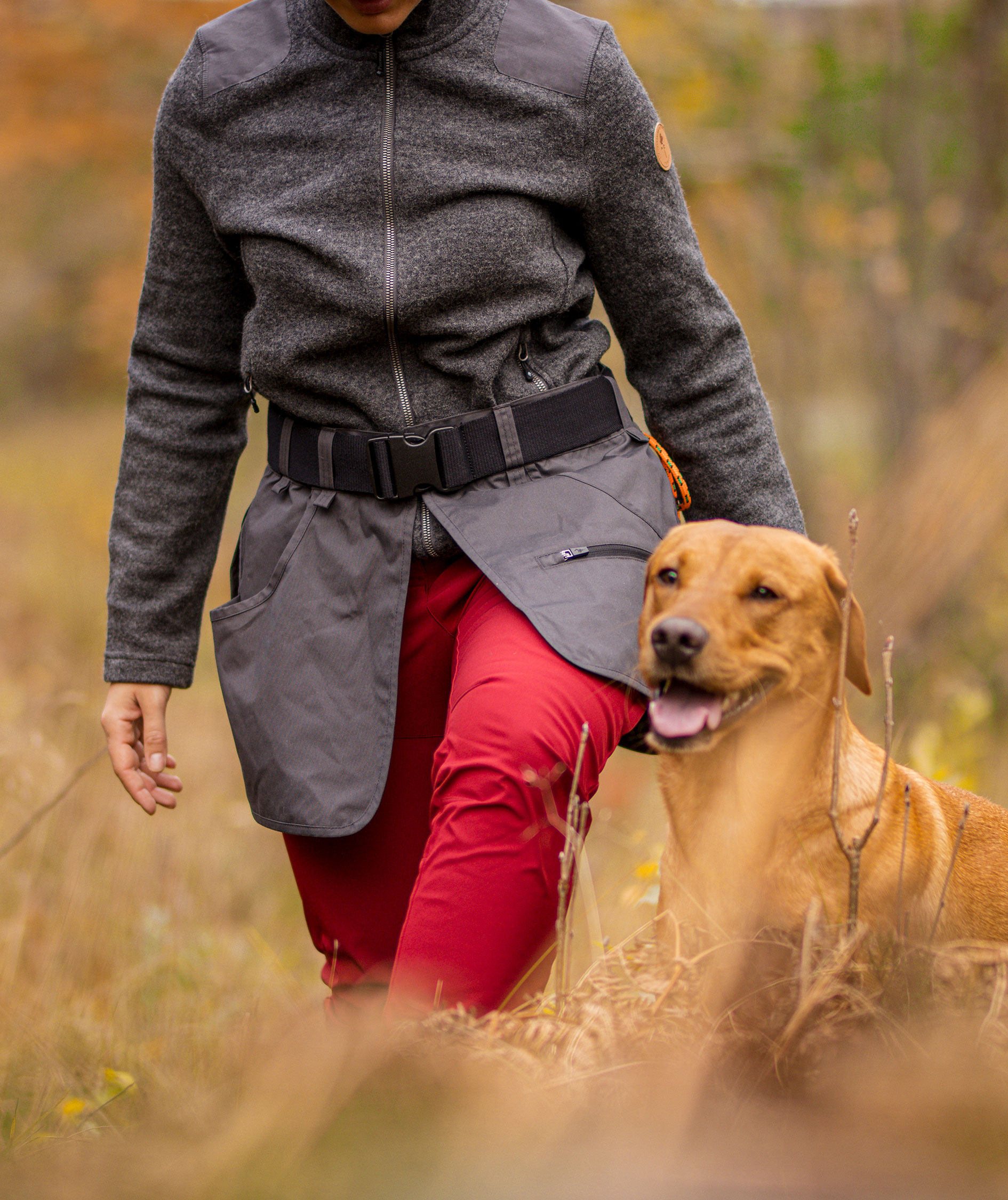 Pinewood Dog Sports b&aelig;lte, Dark Anthracite