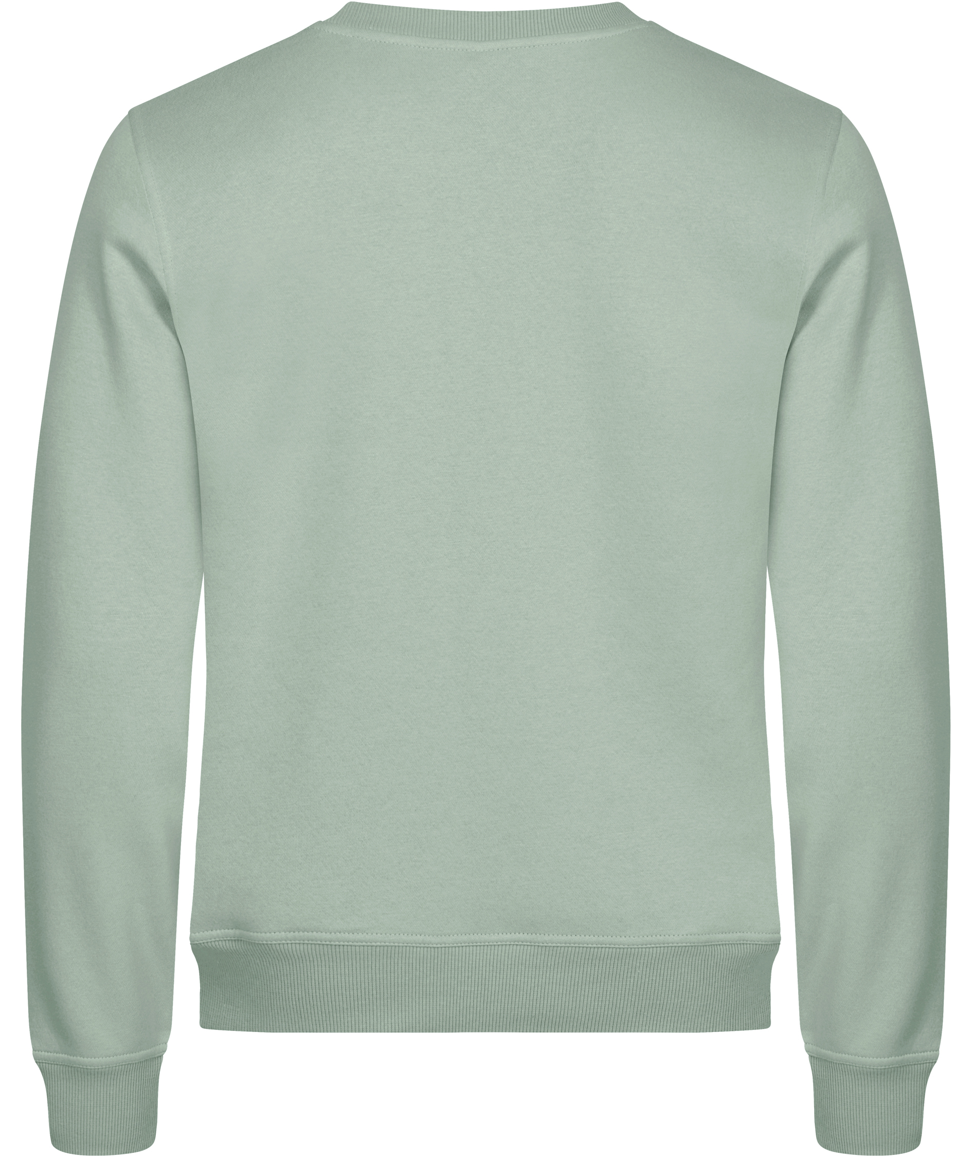 Clique Miami Roundneck Sweatshirt, Sage Green, large image number 1