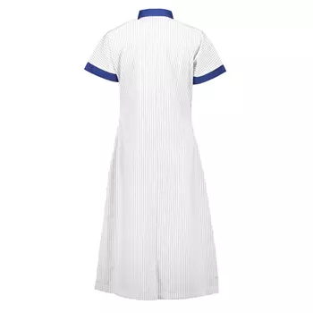 Borch Textile 5194 women's dress, Navy/Como blue