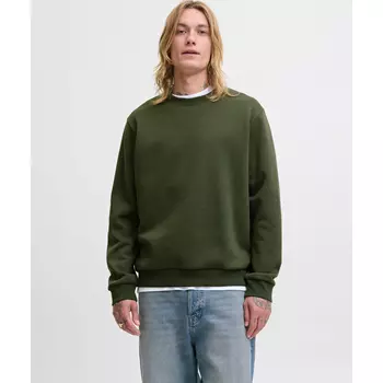 Jack & Jones JJEBRADLEY sweatshirt