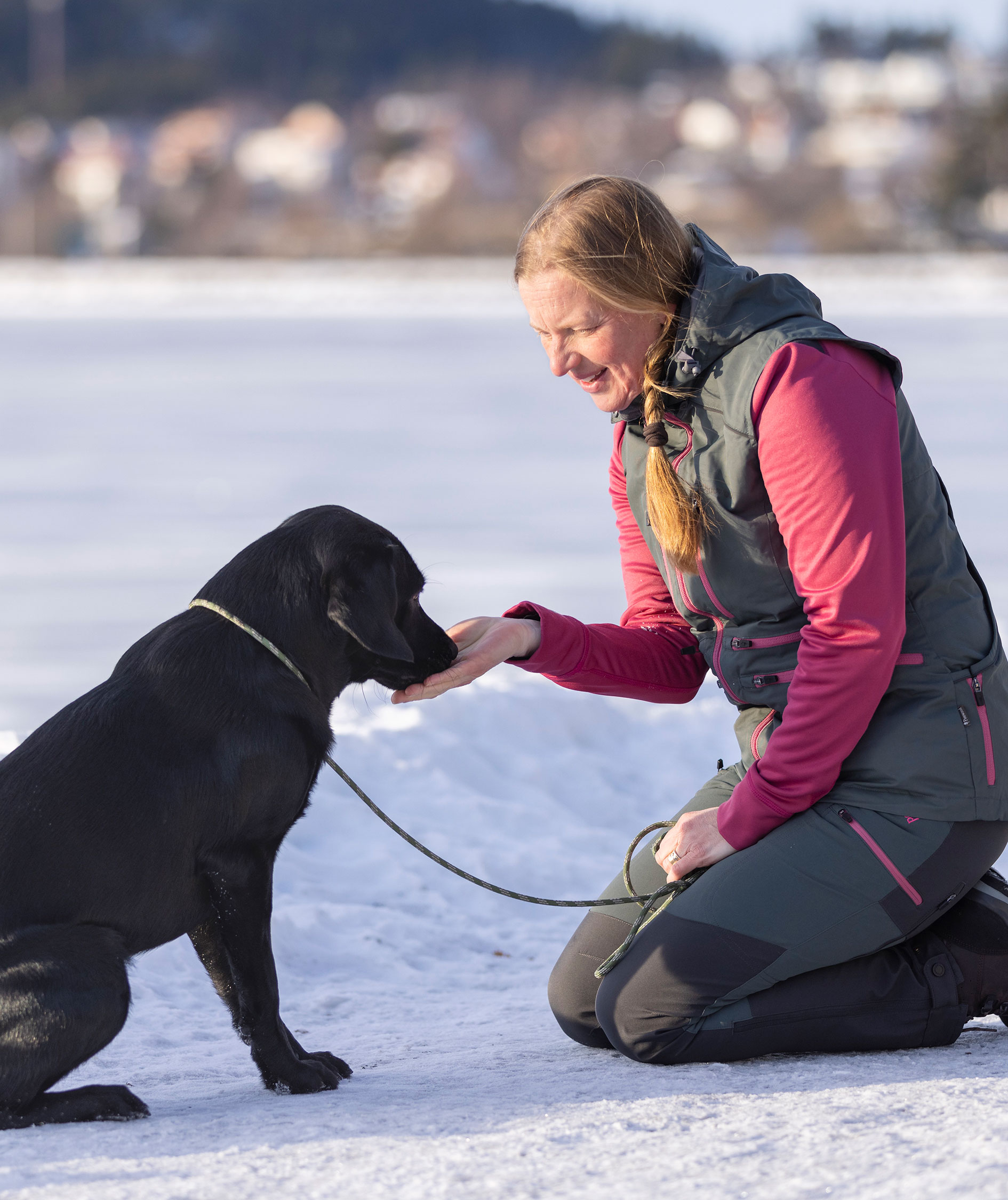 Pinewood Dog Sports Windblocker damevest, Urban Grey, large image number 3