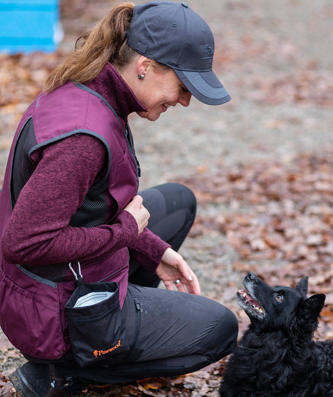 Pinewood&nbsp;Dog Sports godtepose  0,8L