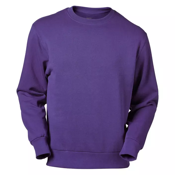 Mascot Crossover Carvin sweatshirt, Blå Violett, large image number 0