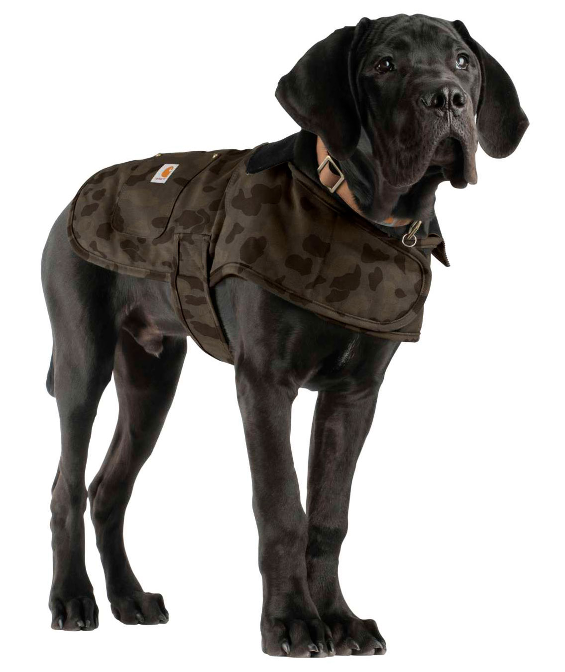 Carhartt Chore Coat hundjacka, Tarmac/Duck Camo