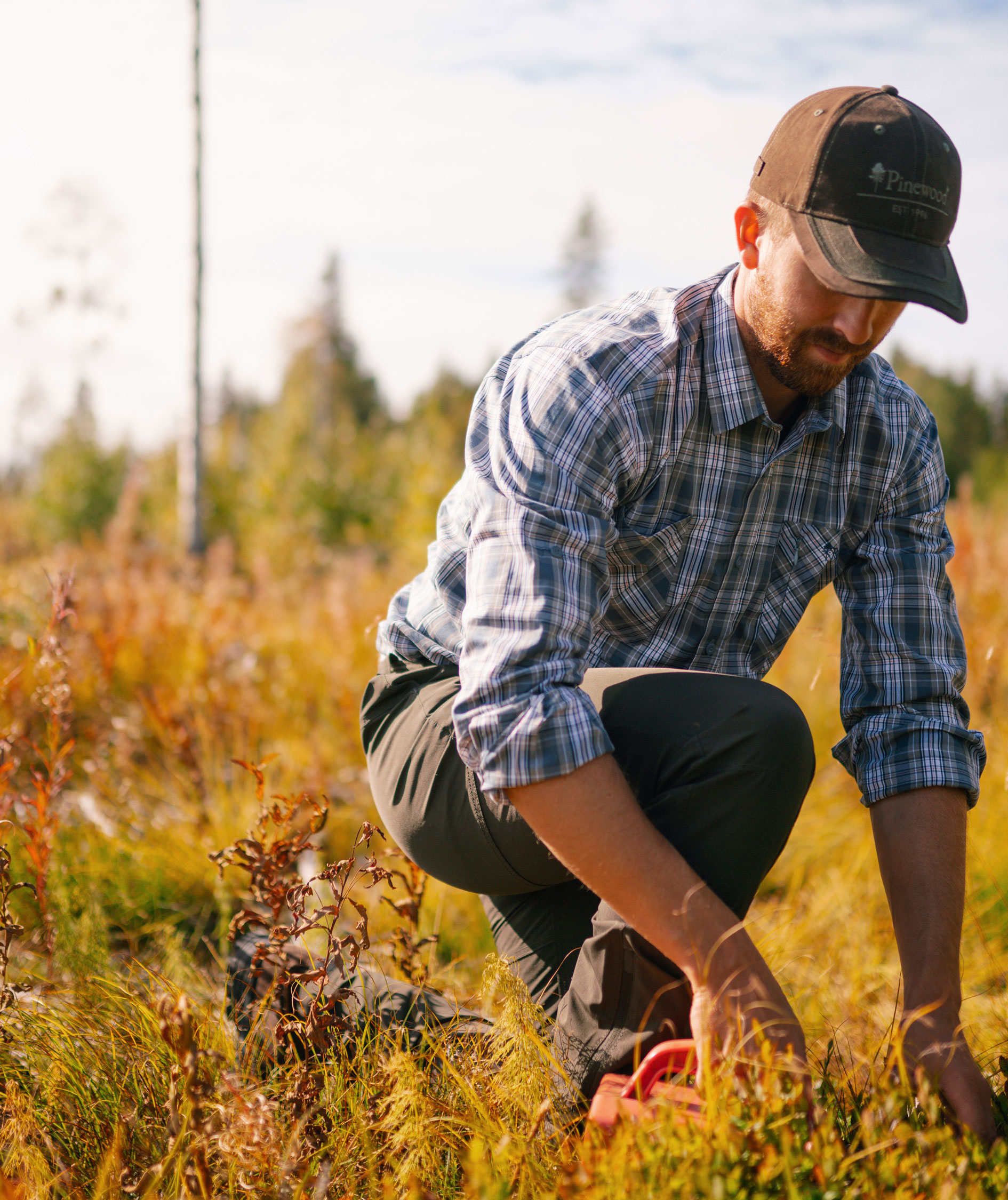 Pinewood Glenn skjorte, Bl&aring;/Gr&aring;, large image number 3