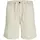 Jack & Jones JPSTJAIDEN HYBRID BONDI shorts med hør, Moonbeam, Moonbeam, swatch