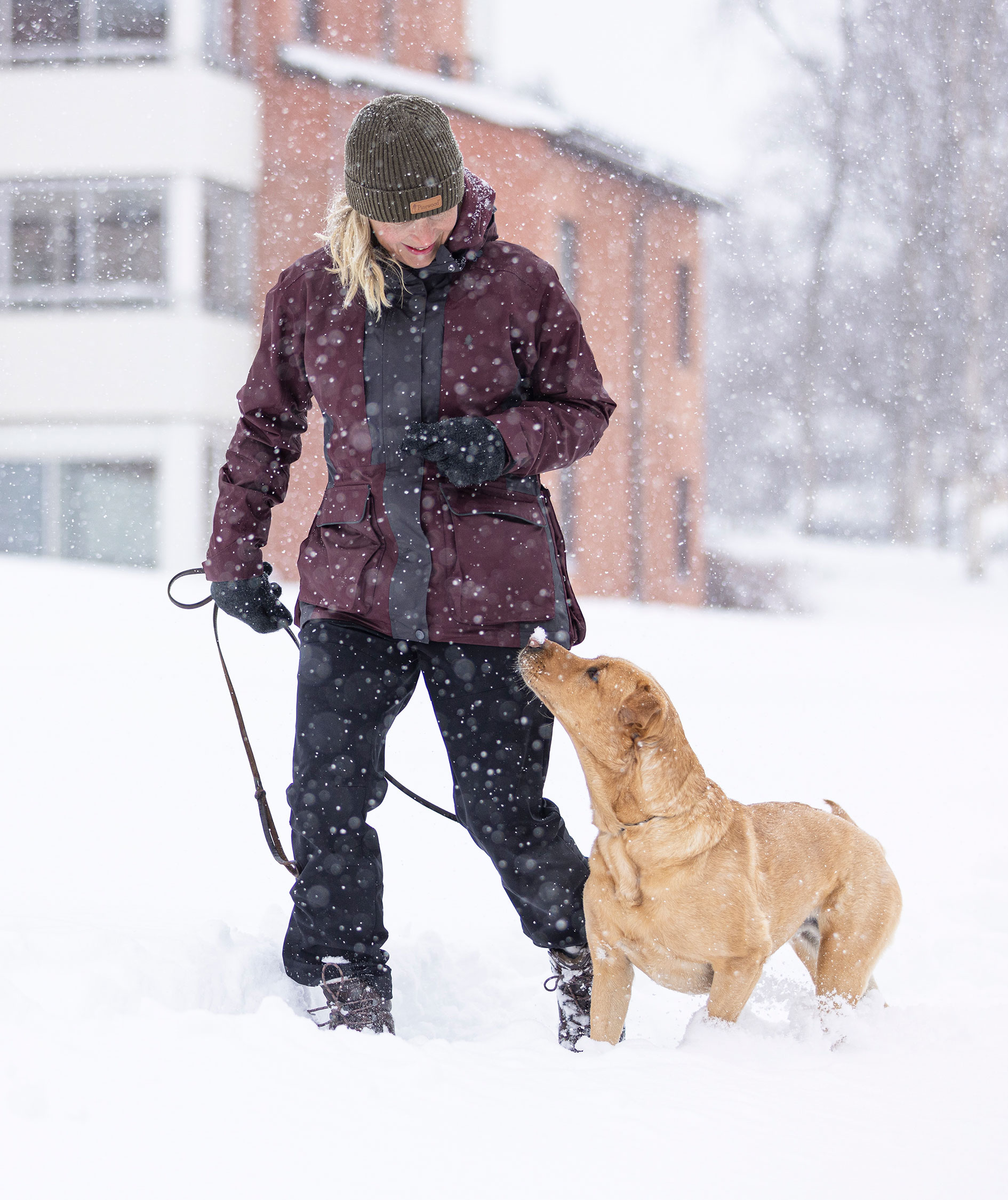 Pinewood Wilda Stretch dame skalbukser, Sort