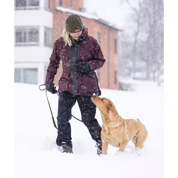 Pinewood Wilda Stretch dame skalbukser