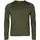 Pinewood Lappland langærmet T-shirt med merinould, Moss green, Moss green, swatch