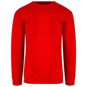 Blue Rebel Jaguar collegetröja/sweatshirt, Röd