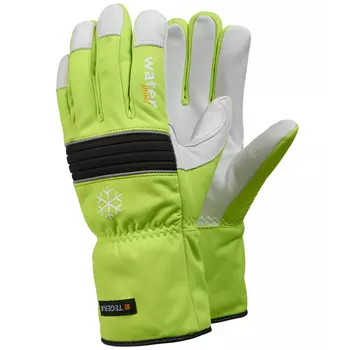 Tegera 299 winter work gloves, Green/Black/White