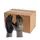 ATG MaxiFlex® Ultimate™ AD-APT® 42-874 work gloves (box with 144 pairs), Black/Grey, Black/Grey, swatch