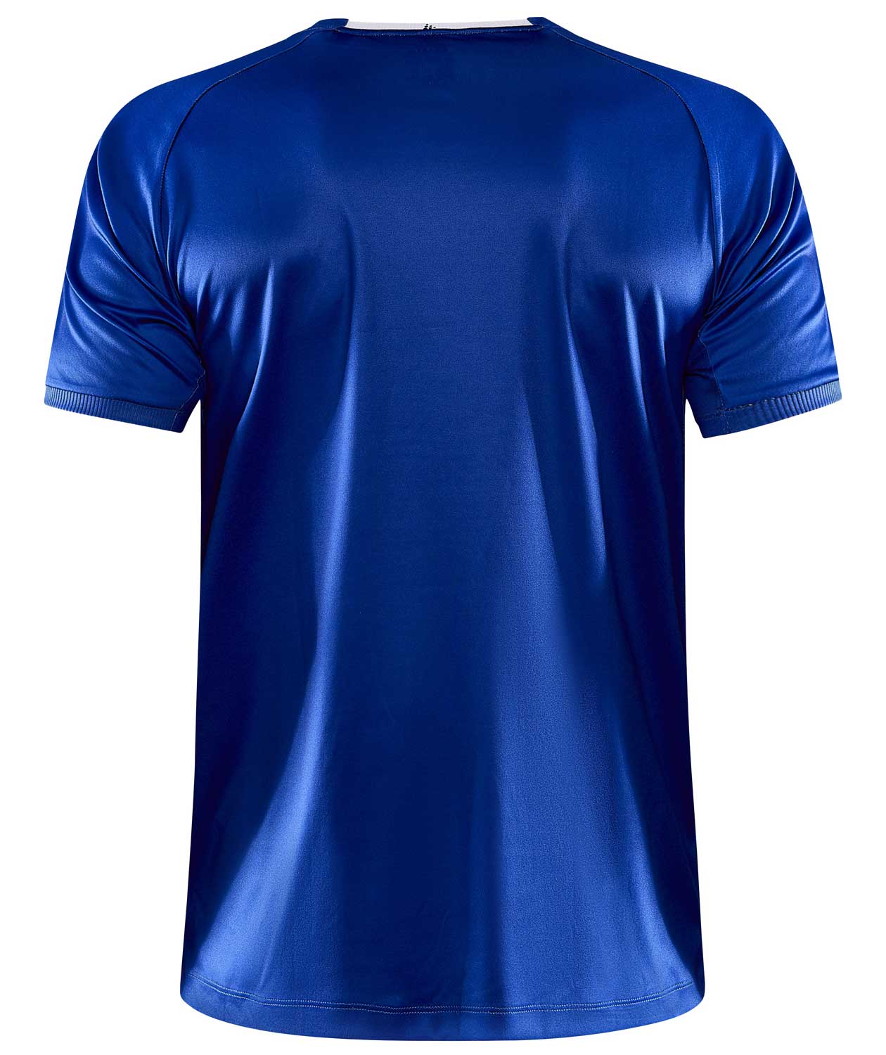 Craft Progress 2.0 Stripe Jersey T-shirt, Vit/Club Cobolt, large image number 2