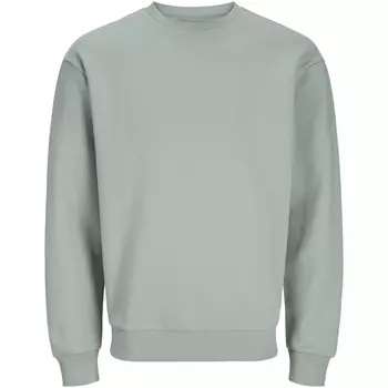 Jack & Jones JJEBRADLEY Sweatshirt