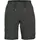 Pinewood Finnveden Sports Light shorts, Ash Grey, Ash Grey, swatch