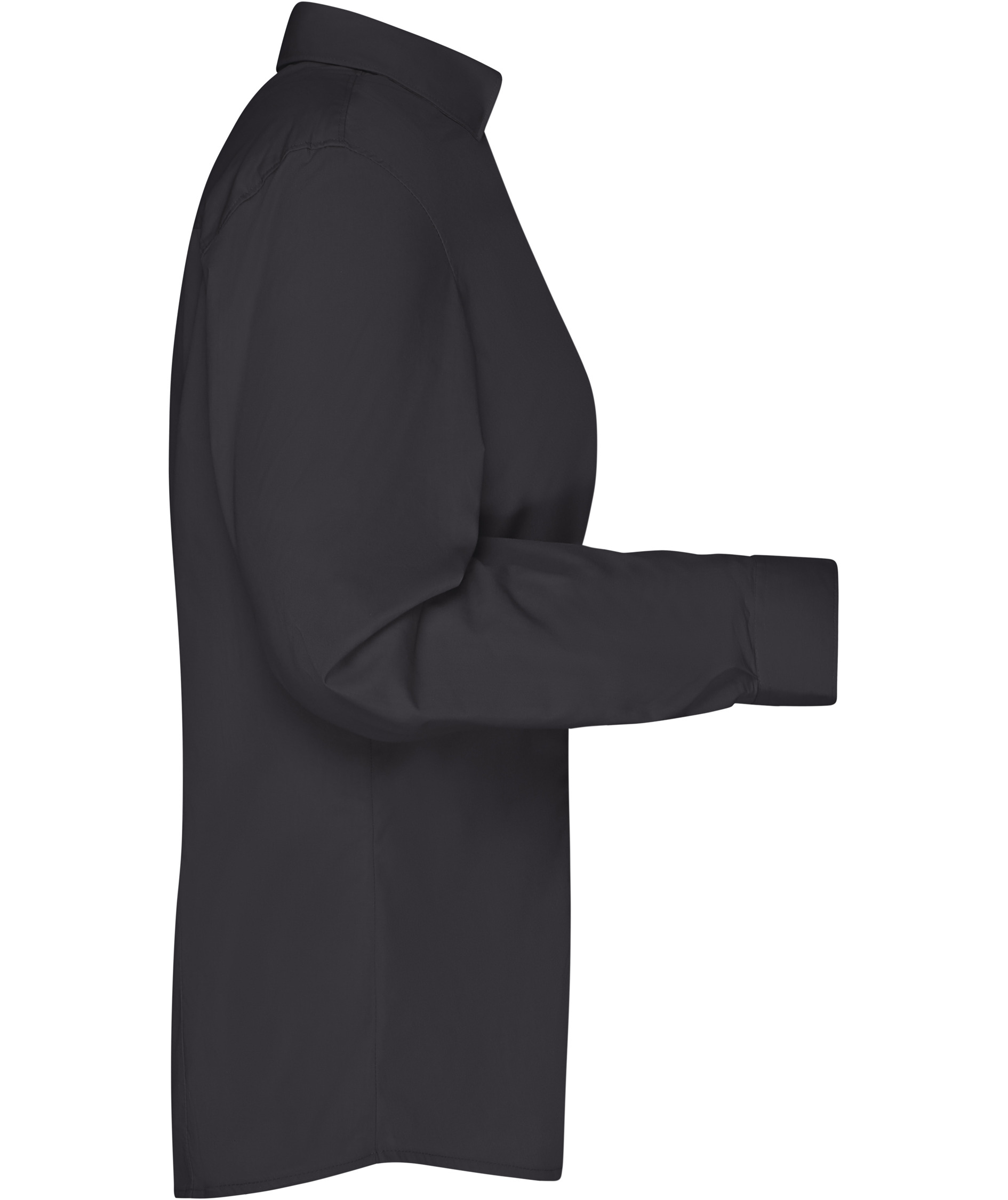 James & Nicholson modern fit dameskjorte, Sort, large image number 2